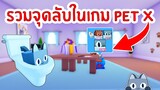 รวมจุดลับในเกม ที่คุณอาจไม่รู้ | Roblox Pet Simulator X 🐾