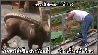 รวมคลิปตลกๆ : ผมเป็นช่างเชื่อม…เชื่อมจนคอติดเลยครัช!!