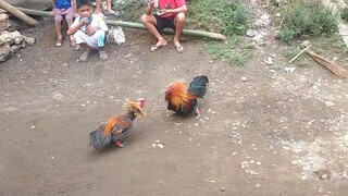 tatay vs anak