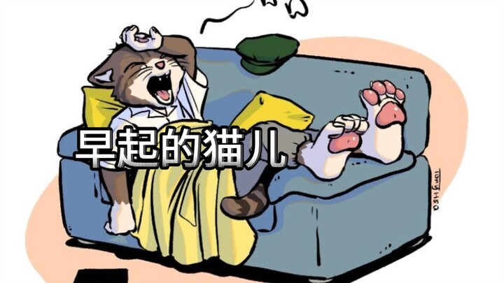 早起的猫儿
