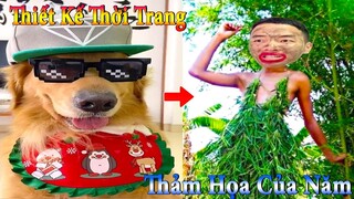 Thú Cưng TV | Dương KC Pets | Tứ Mao Đại Náo #8 | Chó Golden thông minh vui nhộn funny cute Baby dog