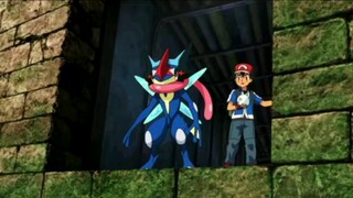 The most beautiful Greninja and the most handsome Greninja! They are not inferior to a group of supe