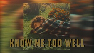 [Vietsub+Lyrics] Know Me Too Well - New Hope Club, Danna Paola