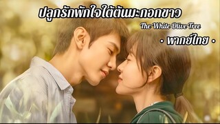 ตอน 14