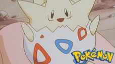 Pokémon Tập 50: Togepi Là Pokémon Gì? (Lồng Tiếng)