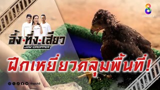 ฝึกเหยี่ยวคลุมพื้นที่! | อึ้ง ทึ่ง เสียว