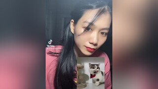 Mình không muốn drama hay war đâu ạ. Mình chỉ muốn nói làm gì cũng nên đặt cái tâm vào nhé 🥰 cat mèo