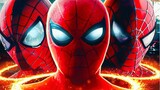 SONY Officially Confirms Future of Spider-Man | MCU & Spider-Man 4