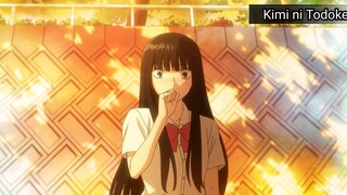 Kimi ni Todoke S3 Official Trailer!