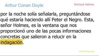 Arthur Conan Doyle - Sherlock Holmes 12/17