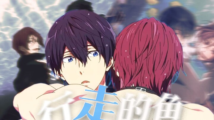 【Free! || 凛遥】“我们都好像，像一条鱼行走在陆地”
