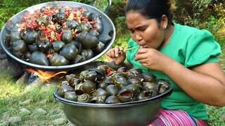 Yummy Cooking big Snails with coconut recipe & Cooking Life