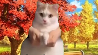 [Cat Meme] Về việc hồi nhỏ tôi bị ép chơi SM với chị gái và phải hòa nhập với chị ấy...