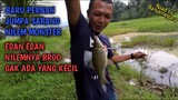 EDANN BROO!! Mancing Ikan Nilem Monster Bareng Kang Mustofa & Pencug Mancing ||  (Part 1)