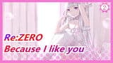 Re:ZERO|Just because I like you and want to be your support_2