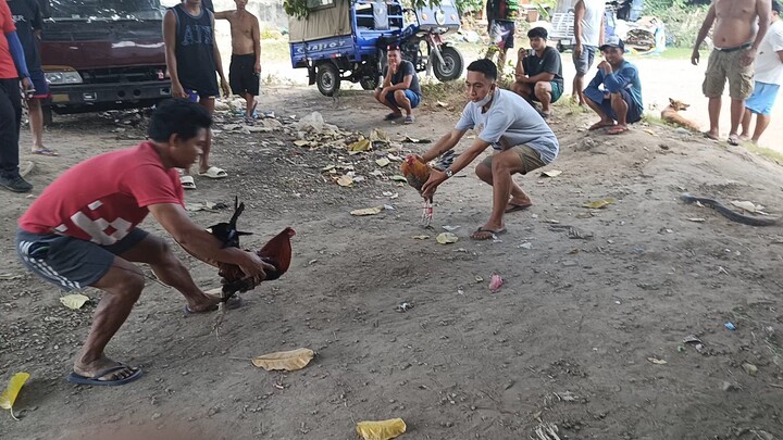 3 beses tinamaan sa ulo ang kalaban(200 pesos lang ang bili😅 nanalo pa)