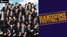 Super Handsome Festival 2016