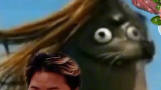 Hehe