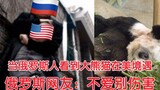 When the Russians saw the plight of the giant panda Yaya in the United States, they were heartbroken