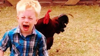 Funny Chicken Videos 🐔🐓🐔 - Chicken Trolling | Pet Squad