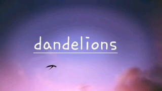 dandelions with lyrics