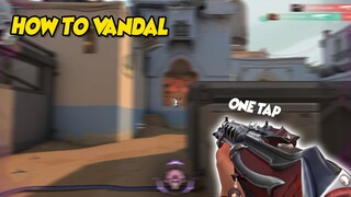 How To Vandal | Valorant