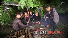 Law of the Jungle in Wild New Zealand [3] SUB INDO