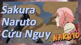 Sakura Naruto Cứu Nguy