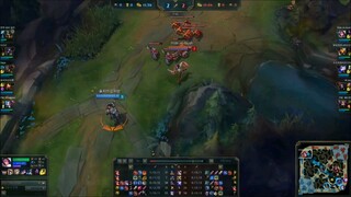 TOP FIORA HIGHLIGHTS #lienminh