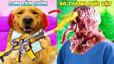 Thú Cưng Vlog | Đa Đa Đại Náo Bố #20 | Chó gâu đần thông minh vui nhộn | Funny pets smart dog