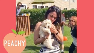 Woman Gets Proposed To With A PUPPY! Proposals That Will Make You Squeak!