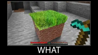 Minecraft wait what meme part 161 realistic minecraft Grass block