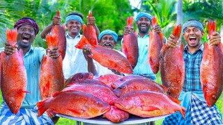 RED SNAPPER FISH | Big Fish Grill Recipe Cooking in Village | Fish Fry in Clay | Episode 05