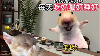 当你面试了一份好工作