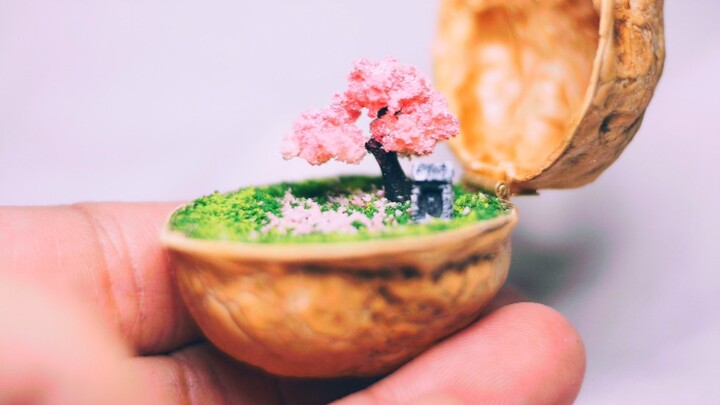 [Miniature Landscape] Cherry Blossom Tree In A Walnut