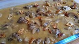 150 Pesos Murang Ulam Recipe! Creamy Meatballs with Mushroom!
