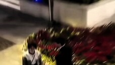 入坑躺平场面④(内含暗戳戳糖&“翅根疼+旱地拔葱”提溜抱)【你比星光美丽】谭松韵&许凯 星动不廷&许你好韵