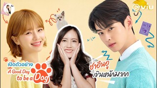 เปิดตัวอย่าง A Good Day to be a Dog "โรแมนติกคอมเมดี้ แฟนตาซี  มาแล้ววว" | ติ่งรีวิว