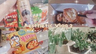 Aesthetic Vlog #2: groceries, went to a korean mart, plant collection, mini tripod on shopee