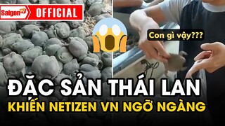 Món ăn KINH DỊ của THÁI LAN khiến cho NETIZEN VIỆT NAM ngỡ ngàng vì QUÁ QUEN | Tin tức SaigonTV