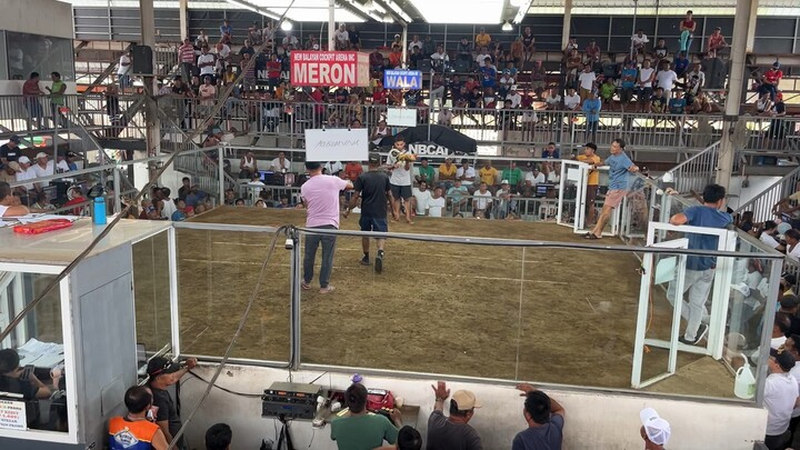 Balayan Cockpit arena