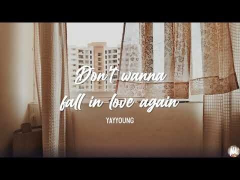 Don't Wanna Fall in Love Again - Yayyoung (Lyric Video)