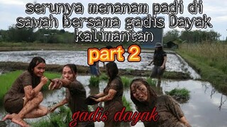 INILAH KESERUAN GADIS DAYAK ||  MENANAM PADI DAN BERMAIN DI SAWAH BERSAMA GADIS DAYAK PART 2