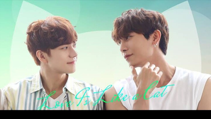 รักนี้ หมาหรือแมว EP.5