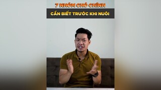 7 nhóm chó chính càn biết trước khi chọn nuôi tuitienpet petonesaigon petnhatrang dcgr