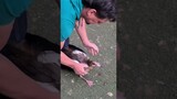 Feeding a duck that can't eat!