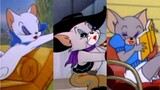 [Mèo và Jerry] Tom có rất nhiều bạn gái, anh ấy thích ai nhất?
