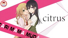 Mỗi khi gần cậu, tớ tim tớ đập rất nhanh [AMV] Citrus - Cari Mama Muda