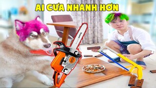 Thú Cưng Vlog | Ngáo Husky Troll Bố #15 | Chó husky thông minh vui nhộn | Smart dog funny pets