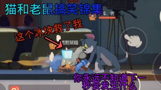 【猫和老鼠搞笑锦集#2】这个冰块简直天秀